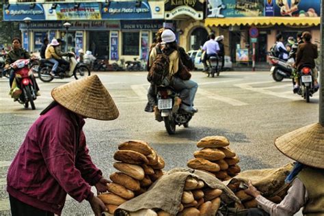  探索越南學術的深度：映照著歷史與文化的「Everyday Life in Viet Nam」