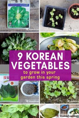  Vegetables Love You: A Korean Guide to Growing and Enjoying Your Own Edible Garden  